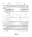 Fig. 05 - Absorbent article with belt having profiled elasticity
