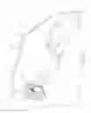 Fig. 09 - Flexible overhead arm