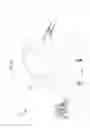 Fig. 07 - Device for elevating the head and chest for treating low blood flow states