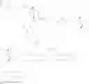 Fig. 14 - Composition and method for improving and protecting keratins