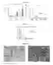 Fig. 04 - Compounds and compositions for intracellular delivery of agents