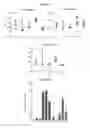 Fig. 08 - Compounds and compositions for intracellular delivery of agents