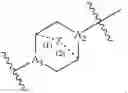 Fig. 30 - Compounds and compositions for intracellular delivery of agents