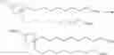 Fig. 443 - Compounds and compositions for intracellular delivery of agents