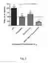 Fig. 04 - CURCUMIN AND RESVERATROL FOR CHRONIC INFLAMMATION