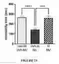 Fig. 22 - Modulators of Sestrin-GATOR2 interaction and uses thereof