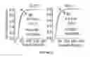 Fig. 32 - Modulators of Sestrin-GATOR2 interaction and uses thereof