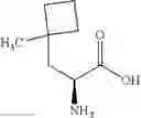 Fig. 80 - Modulators of Sestrin-GATOR2 interaction and uses thereof