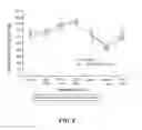 Fig. 07 - PHARMACEUTICAL COMPOSITIONS COMPRISING DGLA AND USE OF SAME