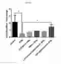 Fig. 02 - PROBIOTIC COMPOSITIONS AND METHODS OF USE THEREOF