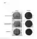 Fig. 02 - Chimeric polypeptides and their use in bacterial decolonization