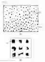 Fig. 06 - Light treatment device using lesion image analysis, method of detecting lesion position through lesion image analysis for use therein, and computing device-readable recording medium having the same recorded therein