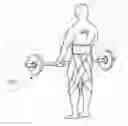 Fig. 01 - Weight lifting apparatus