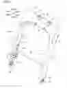 Fig. 09 - Back frame of vehicle seat