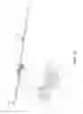 Fig. 12 - Internal washing device for containers