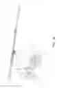 Fig. 17 - Internal washing device for containers