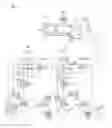 Fig. 05 - ELECTRONIC BRAKE SYSTEM