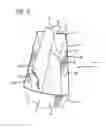 Fig. 05 - Convertible cargo case
