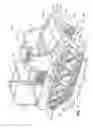 Fig. 02 - Tracked vehicle suspension systems and methods