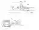 Fig. 01 - SYSTEM FOR CONTROLLING MARINE CRAFT WITH STEERABLE PROPELLERS