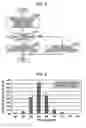 Fig. 07 - Transporting apparatus