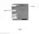 Fig. 06 - Method for making carbon nanotubes