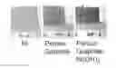 Fig. 01 - METHOD FOR MANUFACTURING OF THREE-DIMENSIONAL FREESTANDING POROUS THIN-GRAPHITE WITH HIERARCHICAL POROSITY