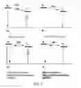Fig. 02 - Substituted benzo[4,5]imidazo[1,2-a]phenanthro[9,10-c][1,8]naphthyridines, benzo[4,5]imidazo[1,2-a]phenanthro[9,10-c][1,5]naphthyridines and dibenzo[f,h]benzo[4,5]imidazo[2,1-a]pyrazino[2,3-c]isoquinolines as thermally assisted delayed fluorescent materials
