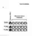 Fig. 08 - PEPTIDES