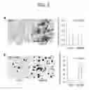 Fig. 06 - Compositions for use in recovering or ameliorating deterioration of physiological functions due to aging