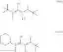 Fig. 09 - Regulators for controlling linear and pseudo-ring expansion polymerization of vinyl monomers