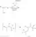 Fig. 20 - Regulators for controlling linear and pseudo-ring expansion polymerization of vinyl monomers