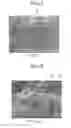 Fig. 02 - Film formed on a sliding surface of a component