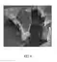 Fig. 08 - SLURRY FOR MANUFACTURING GRAPHENE SHEET COMBINING GRAPHITE FLAKE STRUCTURE