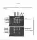 Fig. 07 - Materials and methods for identifying and using yeast strains that metabolize pentose sugars in the presence of D-glucose