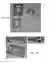 Fig. 08 - System and Method for Producing Blood Platelets
