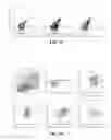 Fig. 29 - Transgenic macrophages, chimeric antigen receptors, and associated methods