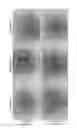 Fig. 03 - Cell culture method using laminin fragment-containing medium