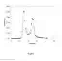 Fig. 05 - METHODS AND COMPOSITIONS FOR PRODUCING ACTIVE VITAMIN K-DEPENDENT PROTEINS