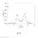 Fig. 06 - METHODS AND COMPOSITIONS FOR PRODUCING ACTIVE VITAMIN K-DEPENDENT PROTEINS