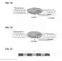 Fig. 02 - Methods and compositions for producing double allele knock outs
