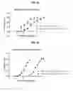 Fig. 12 - Methods and compositions for producing double allele knock outs