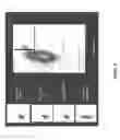 Fig. 09 - Triple-mode system for antibody maturation, surface display and secretion