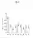 Fig. 06 - Antitumor drug delivery formulation