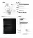 Fig. 02 - Directed editing of cellular RNA via nuclear delivery of CRISPR/CAS9