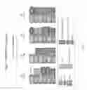 Fig. 05 - Genome engineering with Type I CRISPR systems in eukaryotic cells
