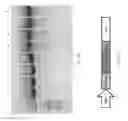 Fig. 71 - Genome engineering with Type I CRISPR systems in eukaryotic cells