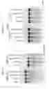 Fig. 06 - Artificial nucleases including engineered FokI cleavage half-domains