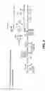 Fig. 10 - Methods and organisms for utilizing synthesis gas or other gaseous carbon sources and methanol