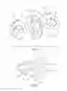 Fig. 02 - Toilet with vitreous china flush engine and polymeric outer structure